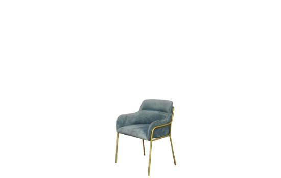 Picture of Dining Chair.