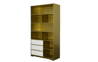 Picture of Book Shelf