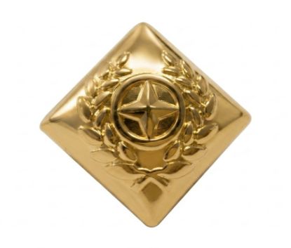 Picture of BD Army Rank (Star)