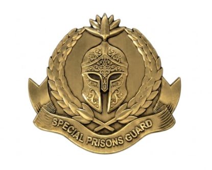 Picture of Special Prisons Guard Insignia