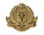Picture of Special Prisons Guard Insignia