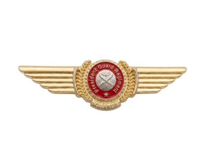 Picture of PGR Wing