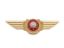 Picture of PGR Wing