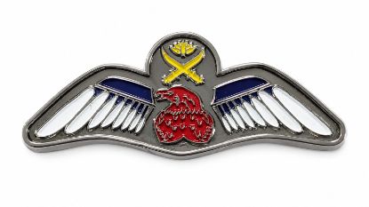 Picture of Army Aviation Wing