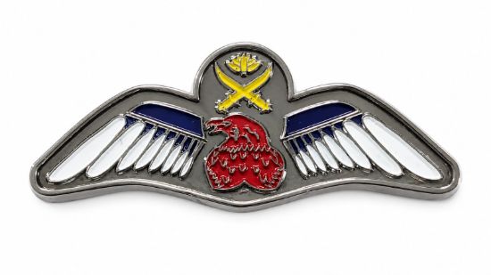 Picture of Army Aviation Wing