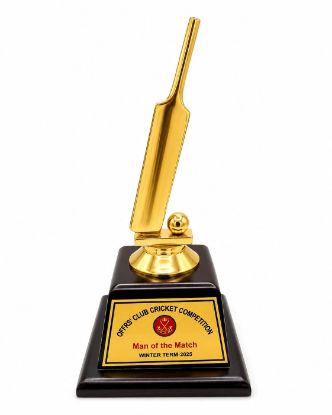 Picture of Cricket Trophy