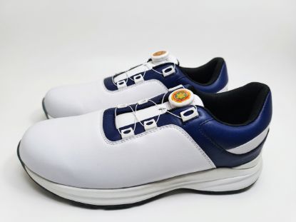 Picture of Golf Shoe